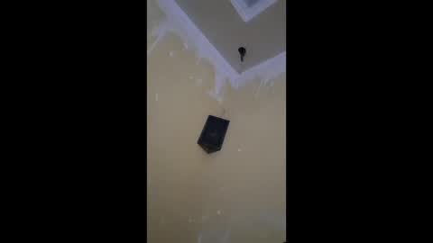 shams444 online show from 15, 2, 2026