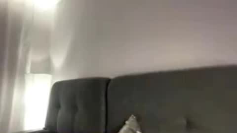 Viola online show from 2, 11, 2025