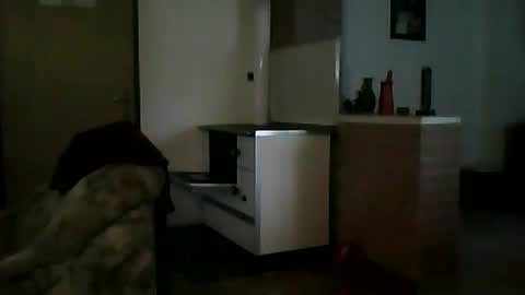 Snapshot of shaomy711 chatting on 12, 1, 2025 excelo21 online show from 12, 1, 2025