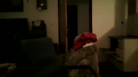 Snapshot of shaomy711 chatting on 25, 1, 2025 excelo21 online show from 25, 1, 2025