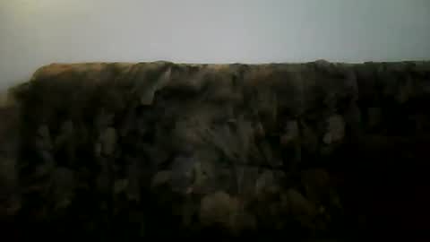 Snapshot of shaomy711 chatting on 2, 2, 2025 excelo21 online show from 2, 2, 2025