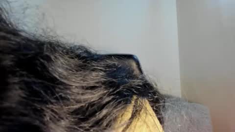 Sara online show from 10, 10, 2025