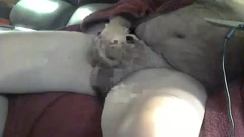 Snapshot of sharkey644 chatting on 19, 12, 2025 Sharkey644 online show from 19, 12, 2025