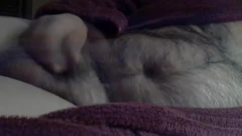 Snapshot of sharkey644 chatting on 3, 3, 2026 Sharkey644 online show from 3, 3, 2026