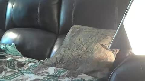 Snapshot of sharkey644 chatting on 26, 3, 2026 Sharkey644 online show from 26, 3, 2026