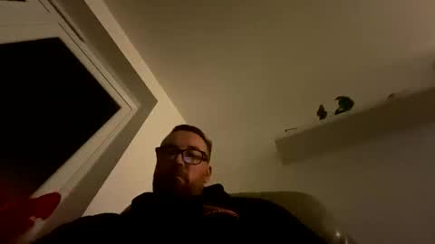 Sharksboy online show from 16, 11, 2025