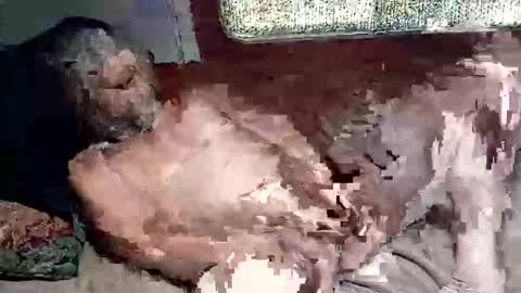 Shamroc online show from 4, 3, 2026