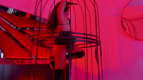 Shego  online show from 12, 1, 2025