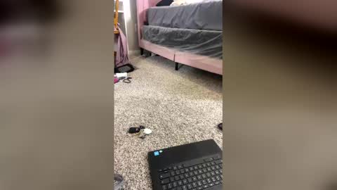 Shelia Averette online show from 20, 12, 2025