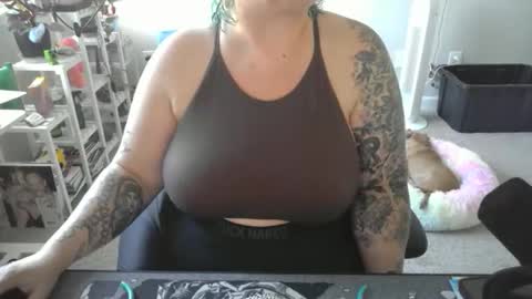 Shesh online show from 14, 4, 2026