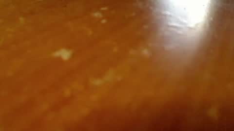 Snapshot of shieldmetoday chatting on 26, 2, 2026 shieldmetoday online show from 26, 2, 2026