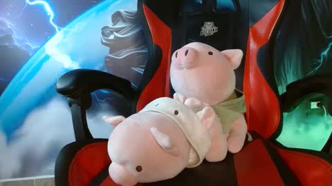  .. shinobi .. online show from 29, 12, 2024