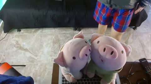  .. shinobi .. online show from 24, 1, 2025