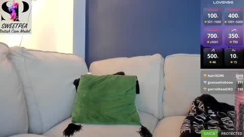 Snapshot of short_sweetpea chatting on 9, 12, 2024 short sweetpea online show from 9, 12, 2024