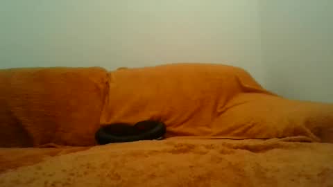 Snapshot of showherenow chatting on 8, 3, 2026 showherenow online show from 8, 3, 2026