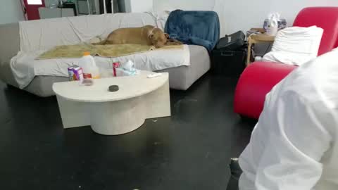 Snapshot of shuim66 chatting on 6, 2, 2026 shuim66 online show from 6, 2, 2026