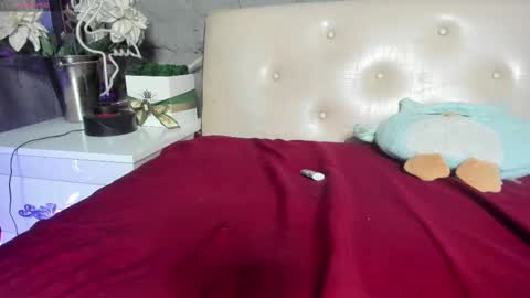 shygurl18hot online show from 25, 2, 2025