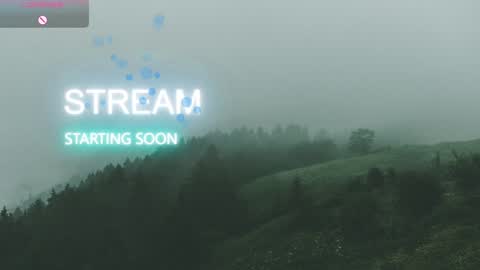 Allmylinkssilentmary666 online show from 14, 12, 2025