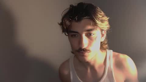 Snapshot of silly_cybin chatting on 17, 11, 2025 cybin online show from 17, 11, 2025