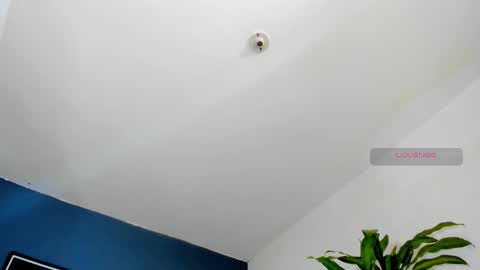 silvabranko online show from 26, 10, 2025