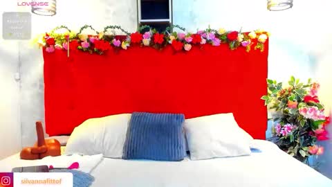 Snapshot of silvannafit chatting on 2, 3, 2026 Silvana Fit online show from 2, 3, 2026