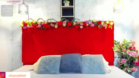 Snapshot of silvannafit chatting on 2, 4, 2026 Silvana Fit online show from 2, 4, 2026