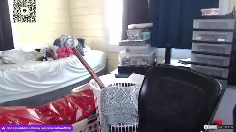 Snapshot of silver_willow chatting on 16, 12, 2024 Willow online show from 16, 12, 2024