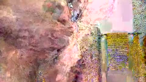 silversurfer1974 online show from 16, 1, 2025