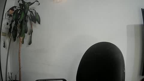 Silvie online show from 11, 3, 2025