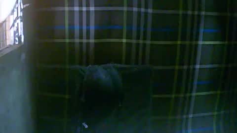 Snapshot of simply__me chatting on 16, 2, 2026 simply__me online show from 16, 2, 2026