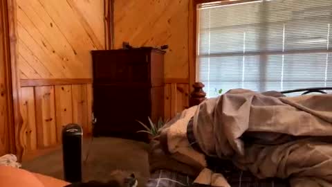 Snapshot of sinfull2022 chatting on 1, 2, 2026 sinfull2022 online show from 1, 2, 2026