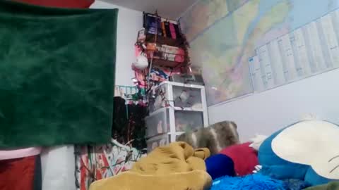 Snapshot of siofra chatting on 14, 9, 2025 Siofra online show from 14, 9, 2025