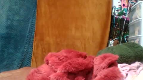 Siofra online show from 16, 11, 2025