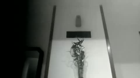 sioque376201 online show from 10, 3, 2026