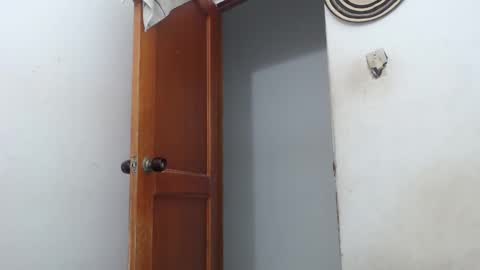 sirajones online show from 2, 3, 2025