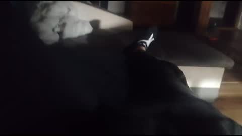 siren666777 online show from 16, 10, 2025