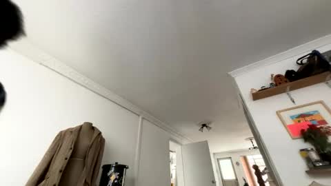 siriss_boyrag online show from 14, 2, 2026