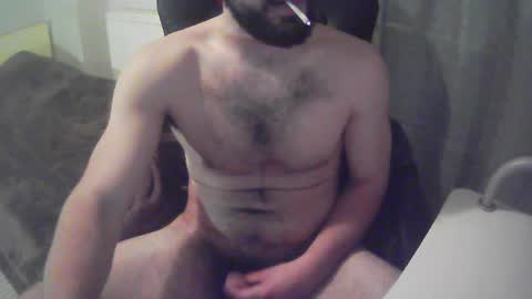 sissy_bear_ online show from 31, 12, 2024