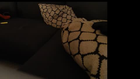 Snapshot of sissygirlalexandra chatting on 26, 1, 2025 sissygirlalexandra online show from 26, 1, 2025