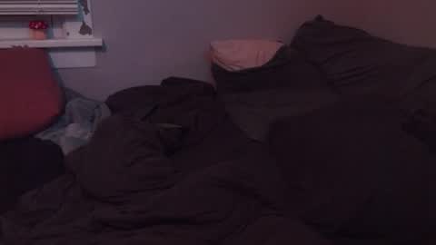 SisLIv online show from 20, 11, 2025