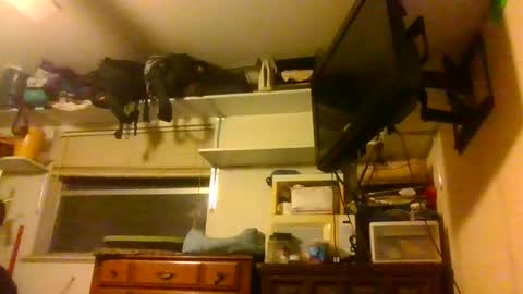 skewedviewblue online show from 5, 12, 2025