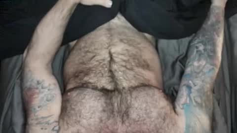 BEEF online show from 17, 3, 2026