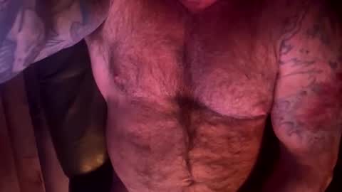 BEEF online show from 29, 3, 2026