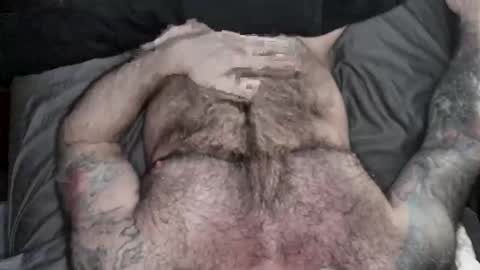 BEEF online show from 11, 4, 2026
