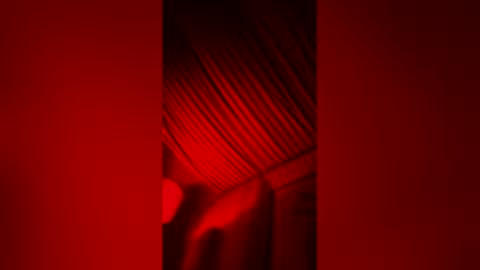 skindiana_bones online show from 8, 2, 2026