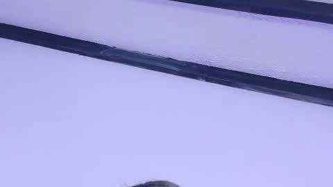 skinny_hottie18 online show from 27, 6, 2026
