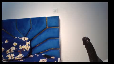 Snapshot of skinnyasssexyboobs chatting on 5, 11, 2025 skinnyasssexyboobs online show from 5, 11, 2025