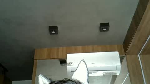 Snapshot of skinnykittencam chatting on 21, 9, 2025 skinnykittencam online show from 21, 9, 2025
