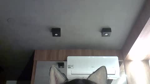 Snapshot of skinnykittencam chatting on 28, 9, 2025 skinnykittencam online show from 28, 9, 2025