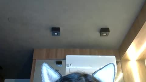 Snapshot of skinnykittencam chatting on 2, 10, 2025 skinnykittencam online show from 2, 10, 2025